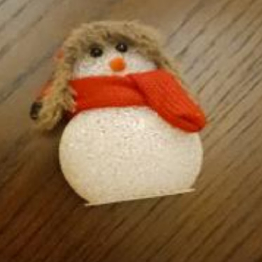 Hand sanitizer cover/holder